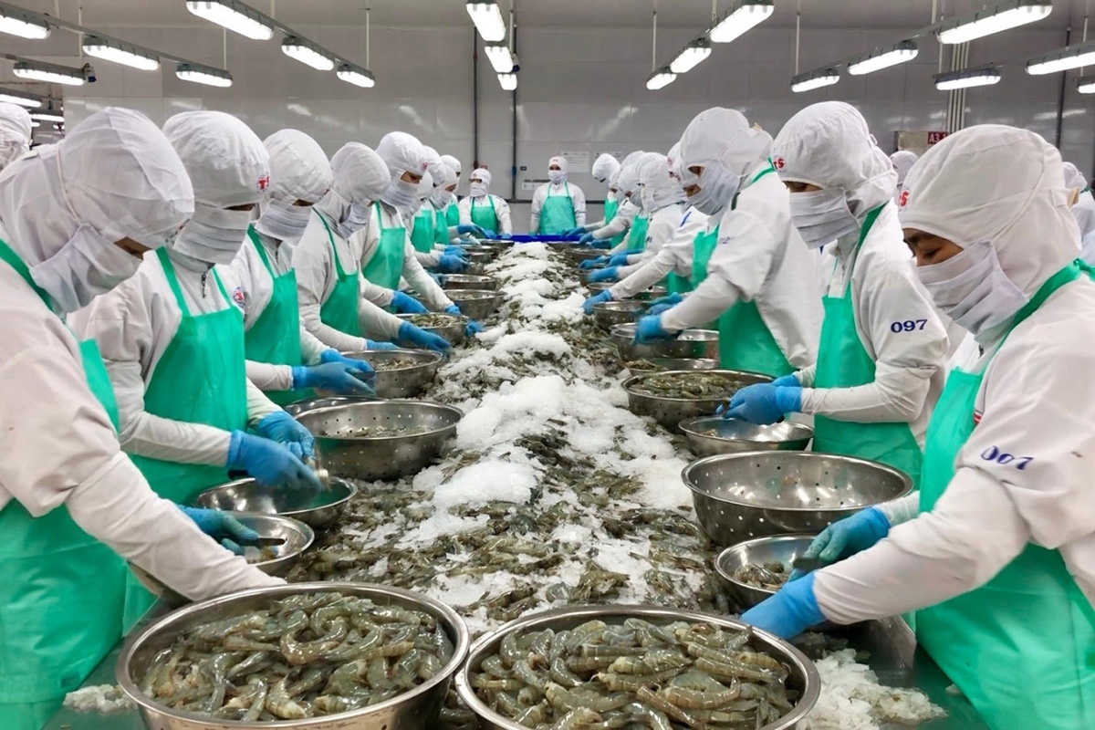 Lưu ý doanh nghiệp về quy định mới khi xuất khẩu sang Trung Quốc