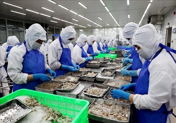 Việt Nam và Ấn Độ có tiềm năng và lợi thế riêng về nguyên liệu và công nghệ chế biến, mở rộng chuỗi cung ứng thủy sản. 