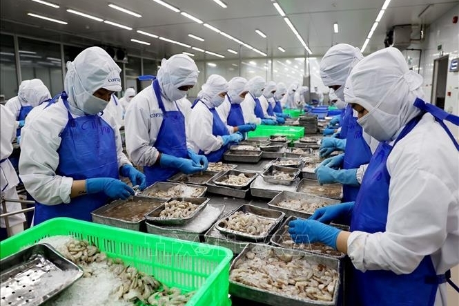 Việt Nam - Ấn Độ: Mở rộng chuỗi cung ứng thủy sản