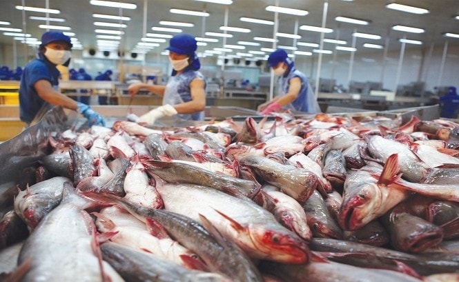 Phát triển chế biến thủy sản theo hướng hiện đại, bền vững Phát triển chế biến thủy sản theo hướng hiện đại, bền vững