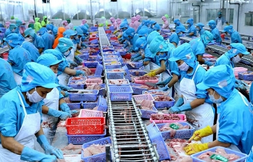 Phát triển chế biến thủy sản theo hướng hiện đại, bền vững Phát triển chế biến thủy sản theo hướng hiện đại, bền vững