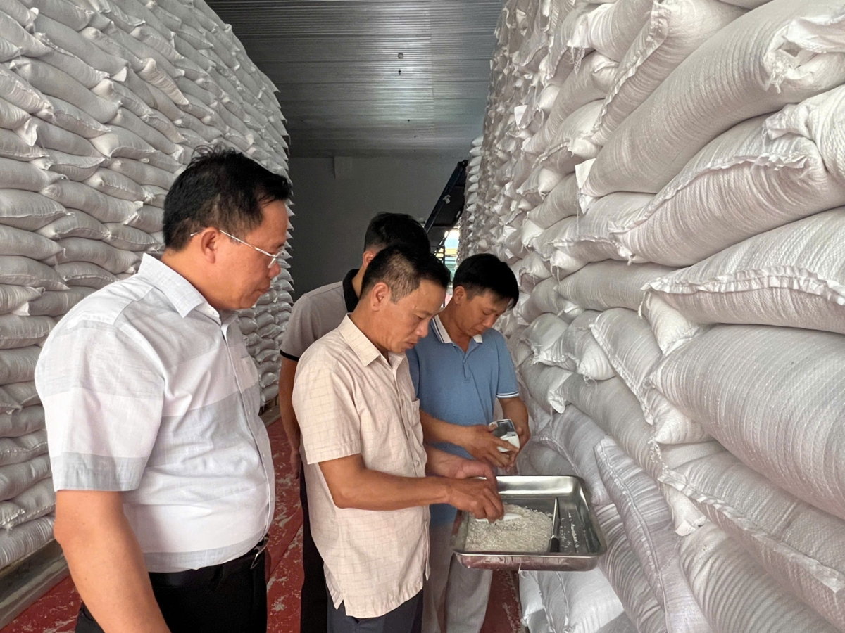 Cục Dự trữ Nhà nước hoàn thành tái cấu trúc bộ máy đảm bảo tinh gọn, thông suốt Cục Dự trữ Nhà nước hoàn thành tái cấu trúc bộ máy đảm bảo tinh gọn, thông suốt