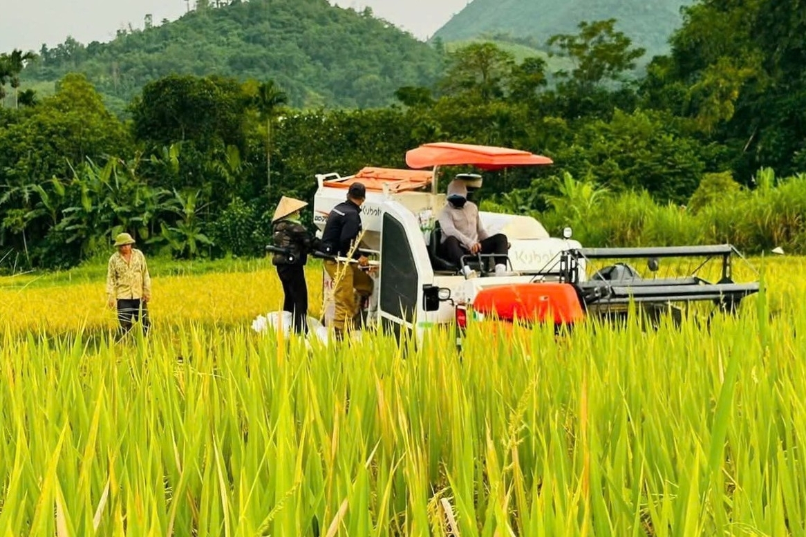 Xuất khẩu nông, lâm, thủy sản tăng mạnh, vượt 30 tỷ USD