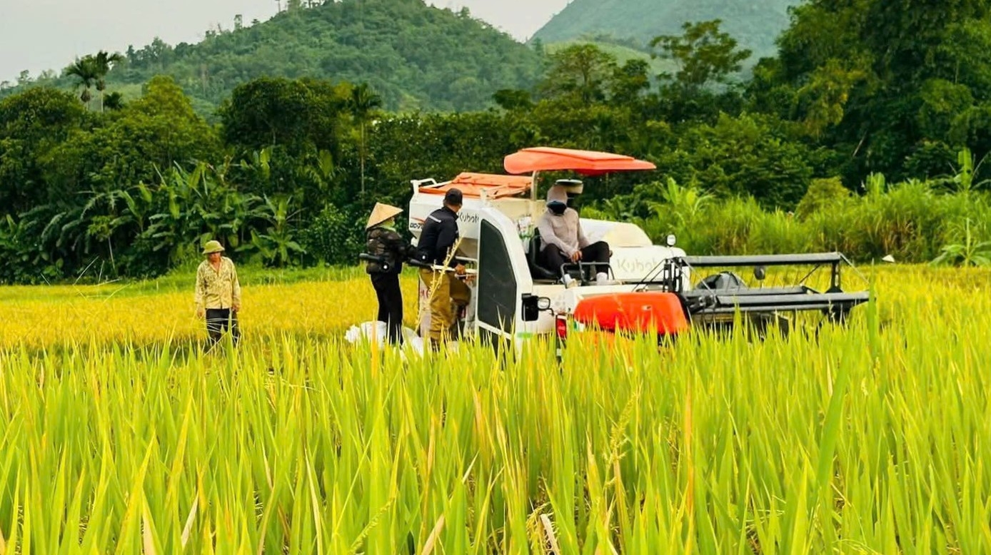 Xuất khẩu nông, lâm, thủy sản tăng mạnh, vượt 30 tỷ USD Xuất khẩu nông, lâm, thủy sản tăng mạnh, vượt 30 tỷ USD