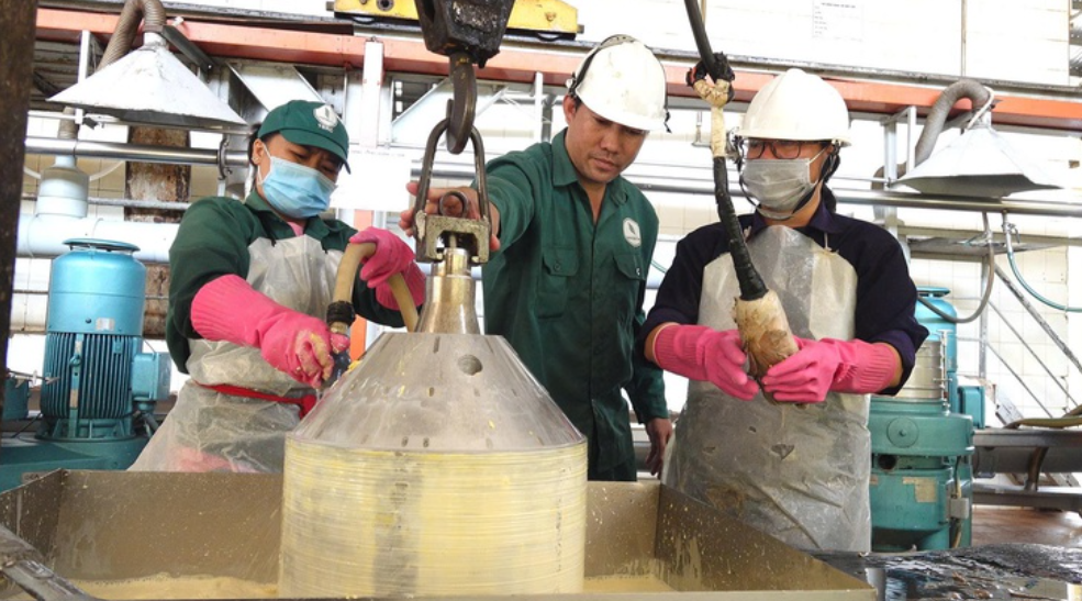 Tập đoàn Công nghiệp Cao su Việt Nam thúc đẩy đổi mới kỹ thuật, tạo đột phá về năng suất