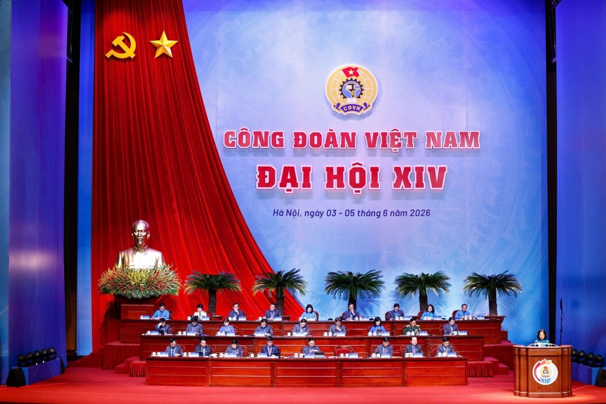 Tập trung hoàn thiện chính sách tiền lương, bảo hiểm xã hội cho người lao động
