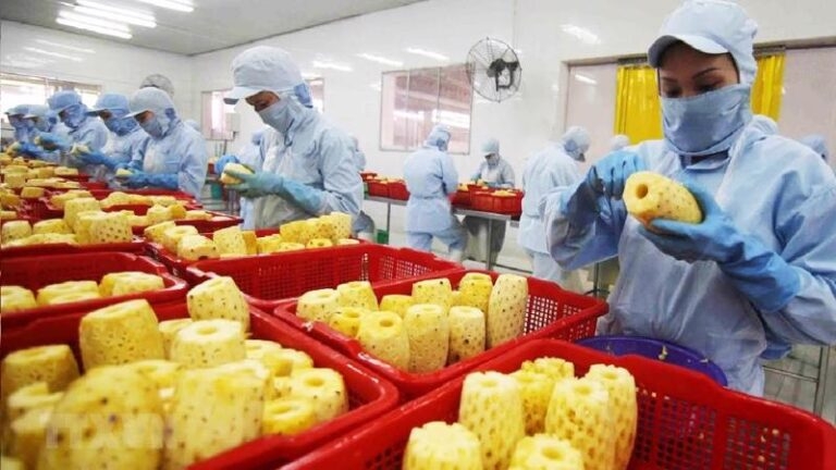Nông sản Việt Nam nâng tầm vị thế toàn cầu bằng chiến lược tăng trưởng xanh Nông sản Việt Nam nâng tầm vị thế toàn cầu bằng chiến lược tăng trưởng xanh