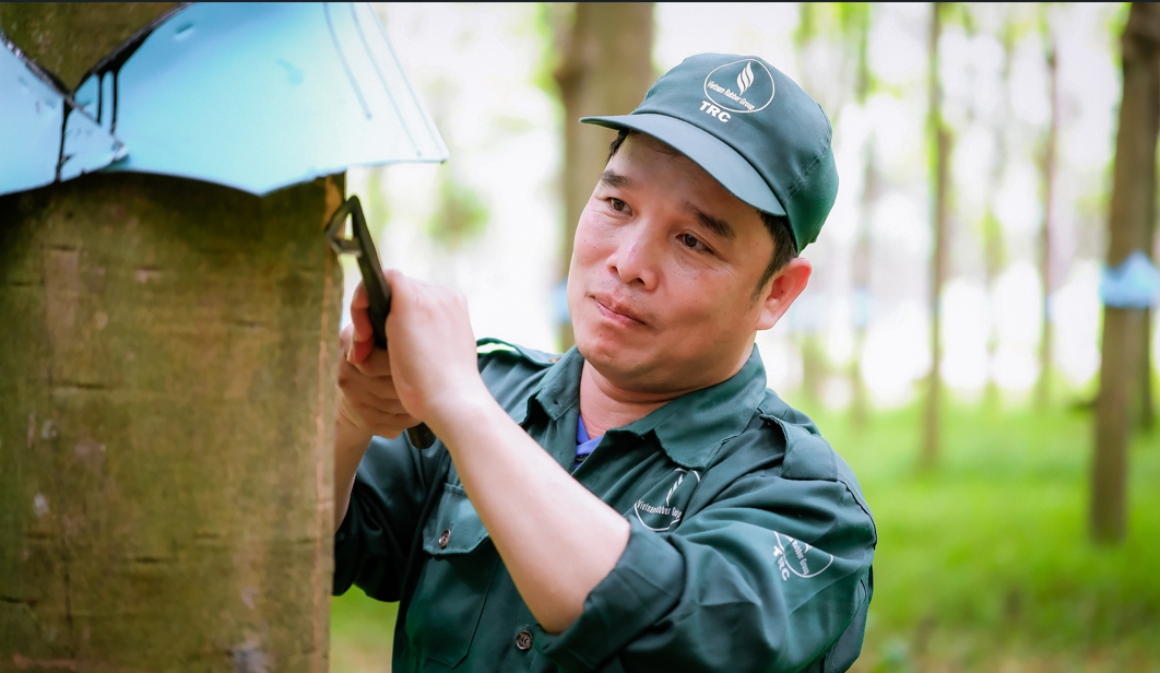 Tập đoàn Công nghiệp Cao su Việt Nam quyết tâm hiện thực hóa mục tiêu tăng trưởng hai con số Tập đoàn Công nghiệp Cao su Việt Nam quyết tâm hiện thực hóa mục tiêu tăng trưởng hai con số