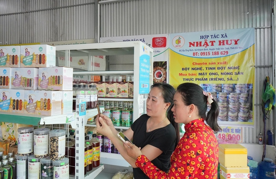 Cà Mau: Thúc đẩy thanh toán không dùng tiền mặt và hỗ trợ nộp thuế qua ứng dụng eTax Mobile