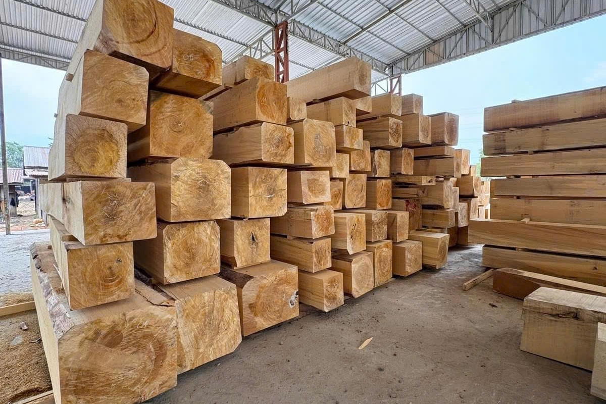 Gỗ rừng trồng mới qua sơ chế thông thường không thuộc diện chịu thuế giá trị gia tăng