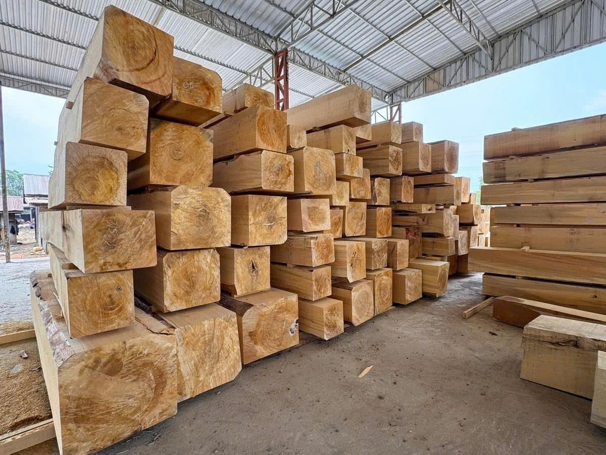 Việc xác định sản phẩm gỗ sơ chế thông thường là căn cứ để áp dụng chính sách thuế GTGT theo quy định. 