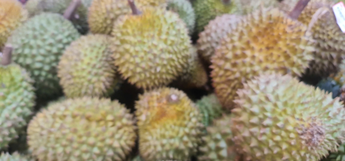 Truy xuất nguồn gốc nông sản minh bạch chuỗi cung ứng xuất khẩu