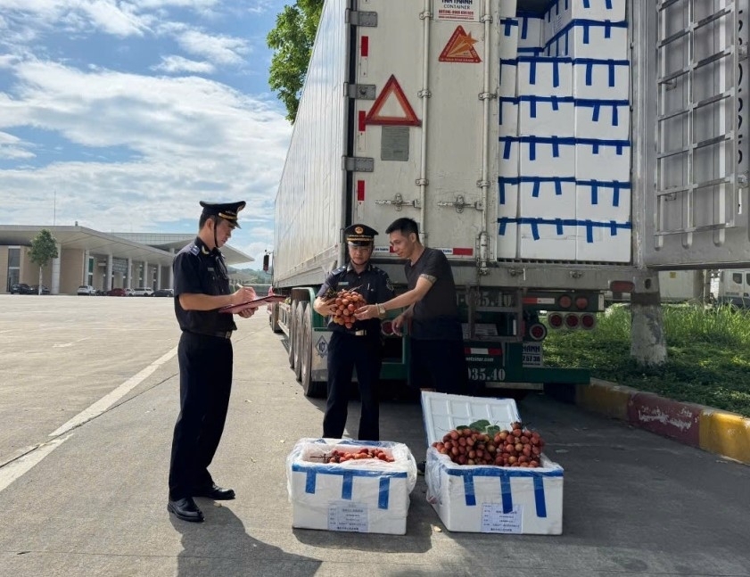 Xuất nhập khẩu qua Hải quan khu vực VII tăng 46,3% so với cùng kỳ