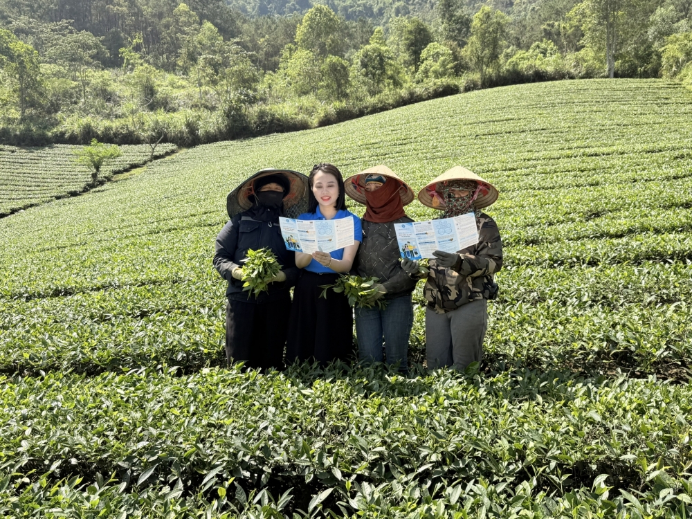 Hội viên Hội Nông dân tham gia bảo hiểm xã hội tự nguyện vượt 2,8%