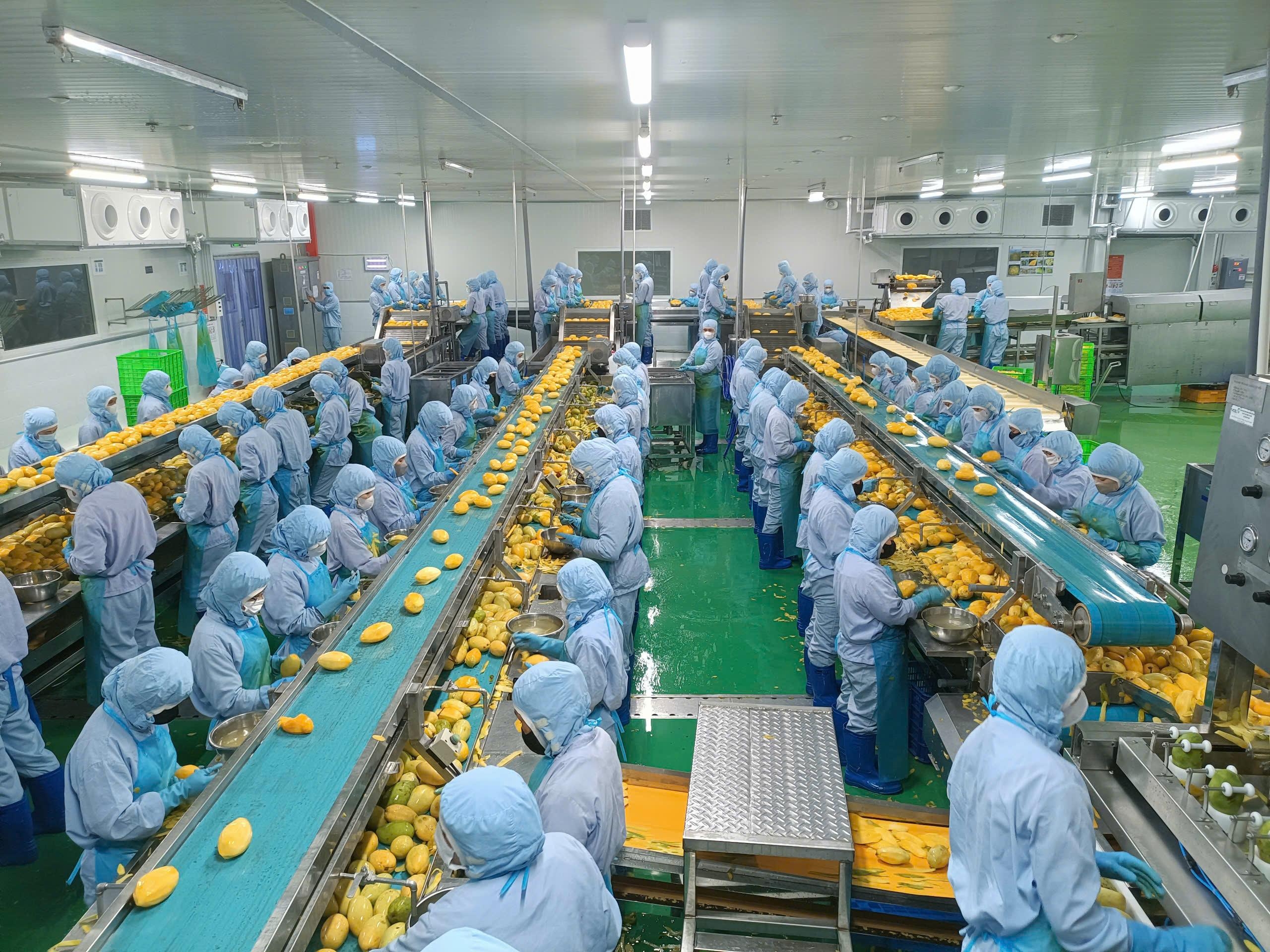 Thúc đẩy công nghiệp nông thôn tham gia chuỗi giá trị nông nghiệp Thúc đẩy công nghiệp nông thôn tham gia chuỗi giá trị nông nghiệp