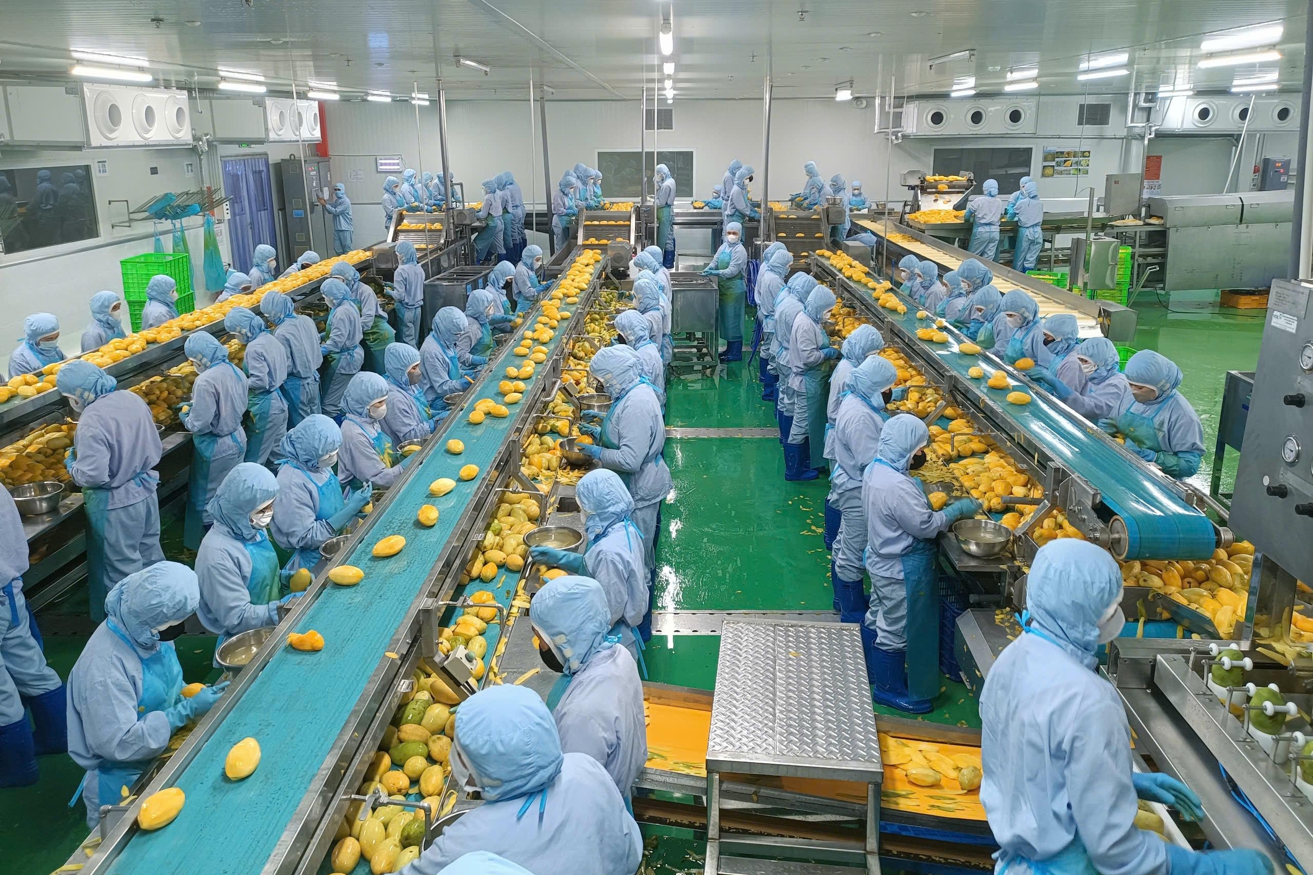 Thúc đẩy công nghiệp nông thôn tham gia chuỗi giá trị nông nghiệp