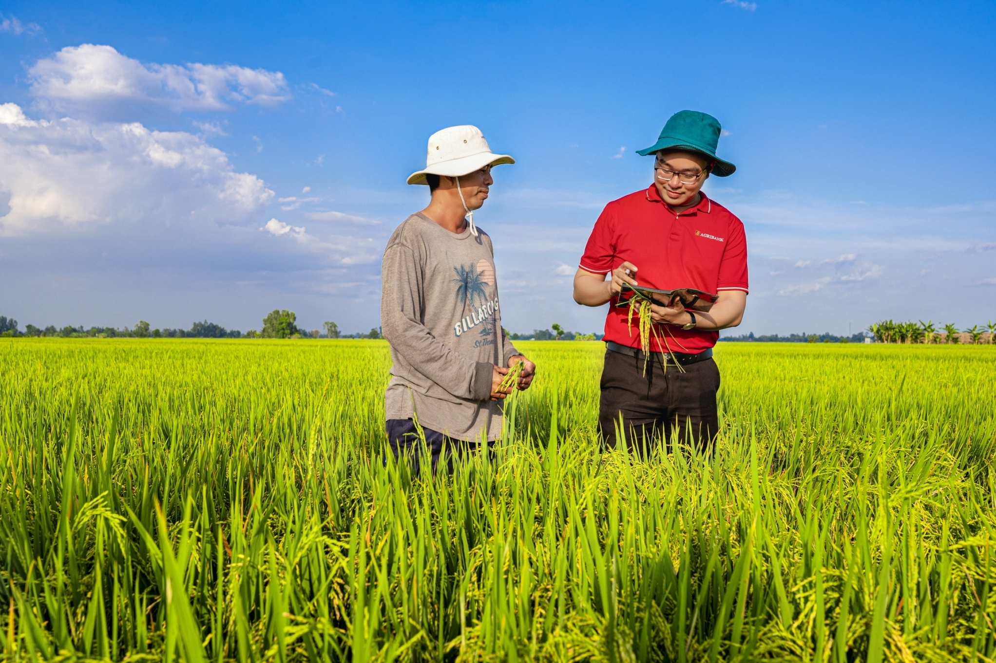 Tín dụng xanh tăng tốc nhưng doanh nghiệp vẫn “khát” vốn chuyển đổi