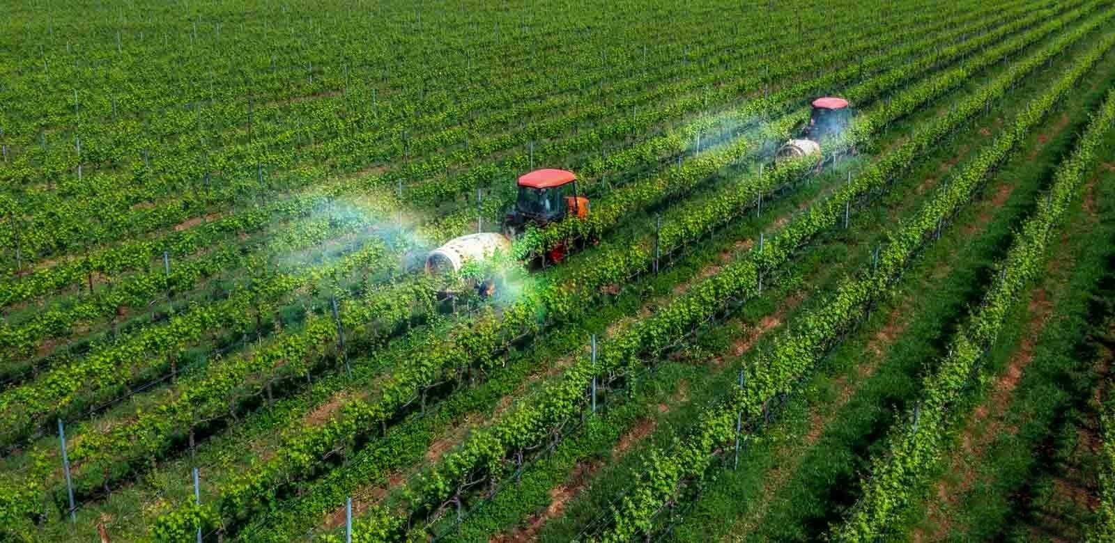 Giảm phát thải để nâng cao giá trị và sức cạnh tranh của nông sản Việt Giảm phát thải để nâng cao giá trị và sức cạnh tranh của nông sản Việt