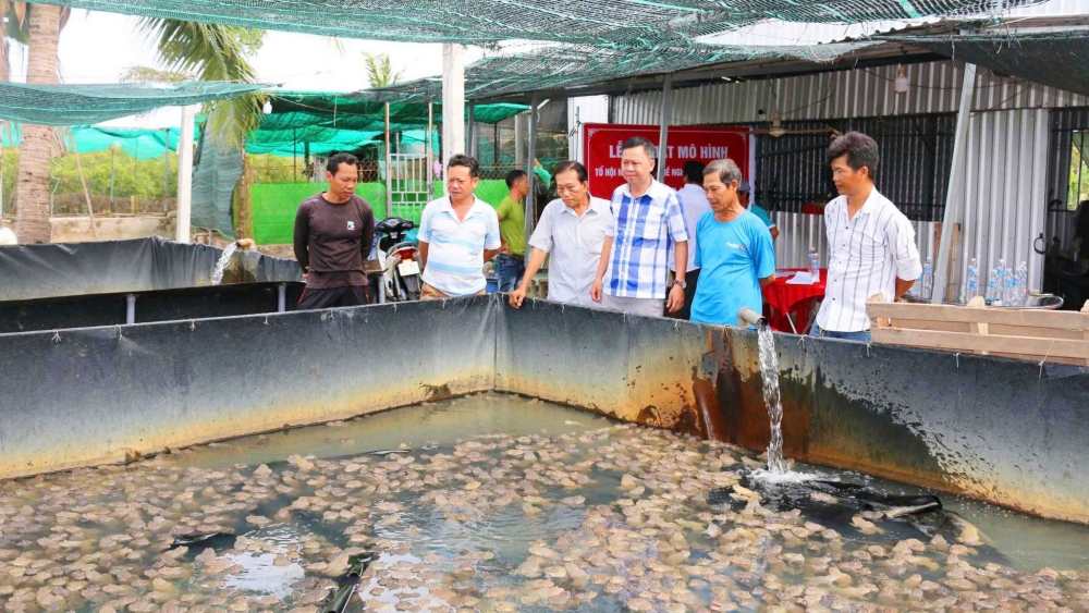 an giang xây dựng nông thôn mới An Giang: Xây dựng nông thôn mới đi vào chiều sâu, tạo nền tảng phát triển bền vững
