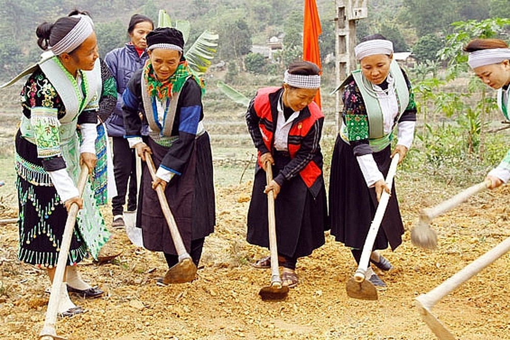 Phấn đấu tăng thu nhập bình quân của người dân tộc thiểu số