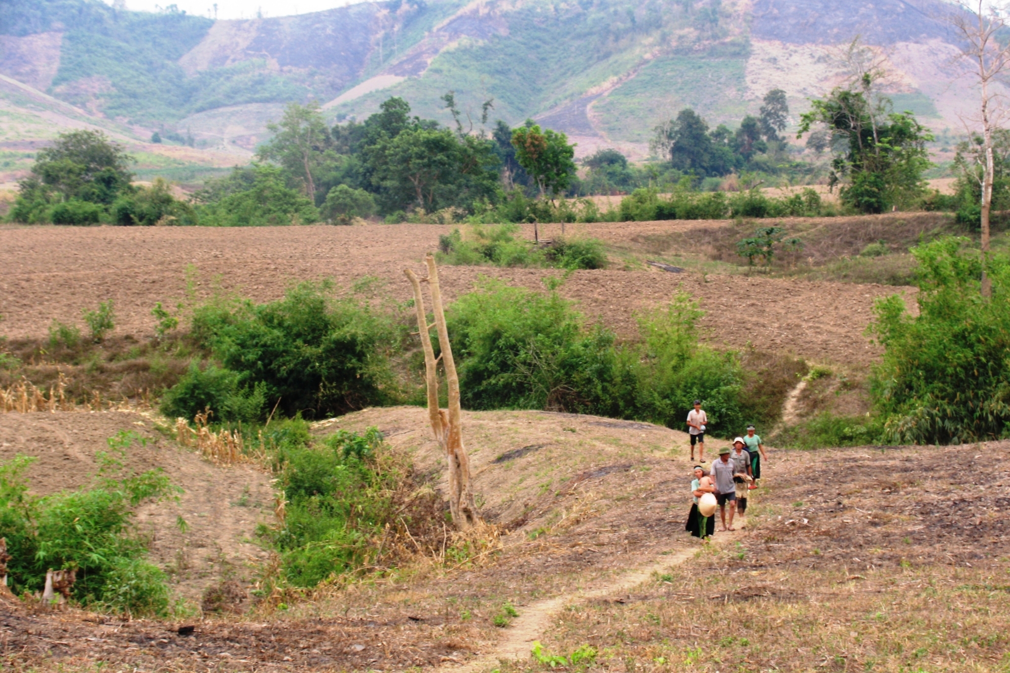 Phục hồi hệ sinh thái, bảo vệ tài nguyên đất vì tương lai xanh và bền vững