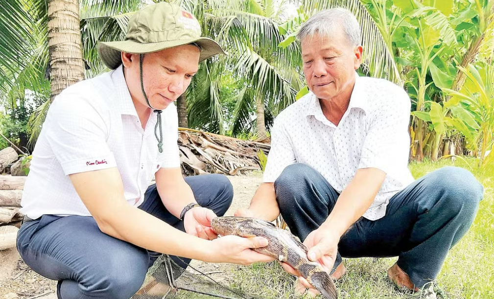 Cà Mau quyết tâm giảm nghèo bền vững, khơi dậy ý chí vươn lên của người dân Cà Mau quyết tâm giảm nghèo bền vững, khơi dậy ý chí vươn lên của người dân