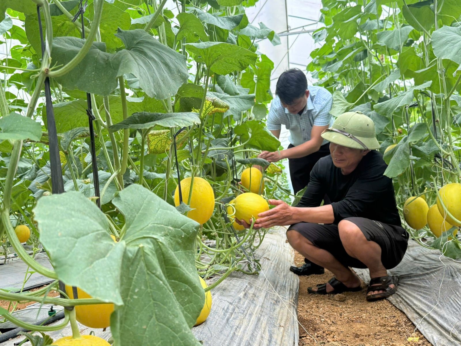 Tạo động lực mới cho phát triển nông thôn, giảm nghèo bền vững ở Lai Châu