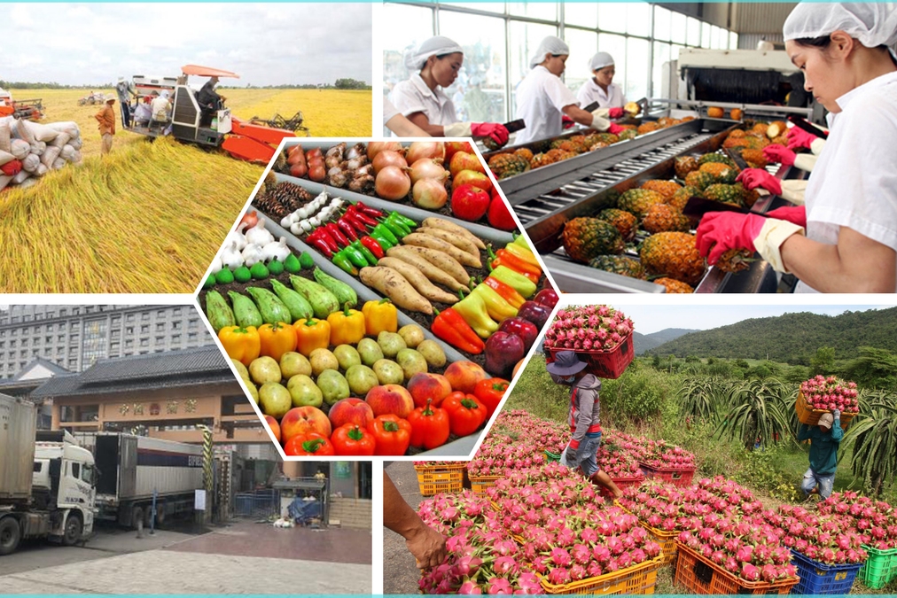 18 nhóm hàng doanh nghiệp xuất khẩu thực phẩm sang Trung Quốc cần lưu ý