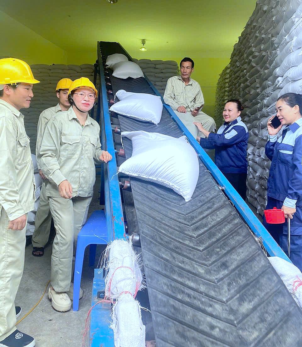 Hỗ trợ hơn 1.568 tấn gạo cứu đói giáp hạt cho nhân dân tỉnh Cao Bằng