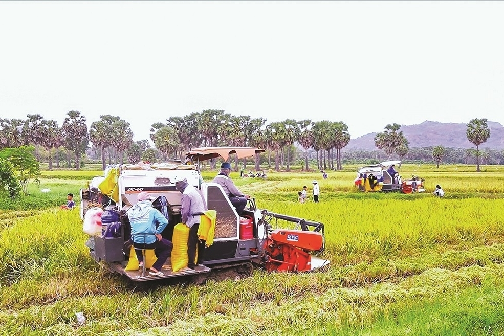 423.000 tỷ đồng cho nông thôn mới: Làm sao để vốn đến đúng nơi cần nhất?