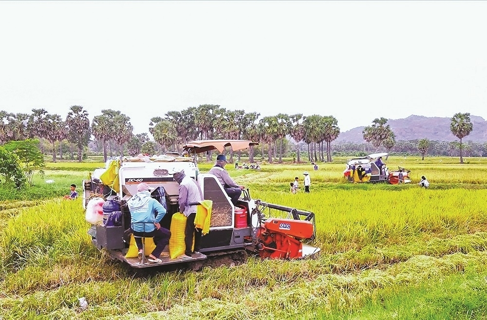 Nông thôn mới