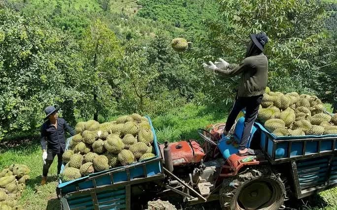 Khánh Hòa xây dựng nông thôn mới từ động lực phát triển kinh tế miền núi