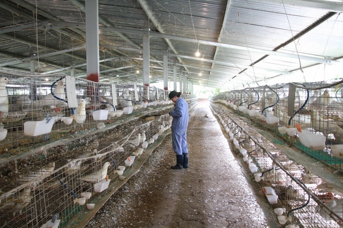 Khánh Hòa xây dựng nông thôn mới từ động lực phát triển kinh tế miền núi