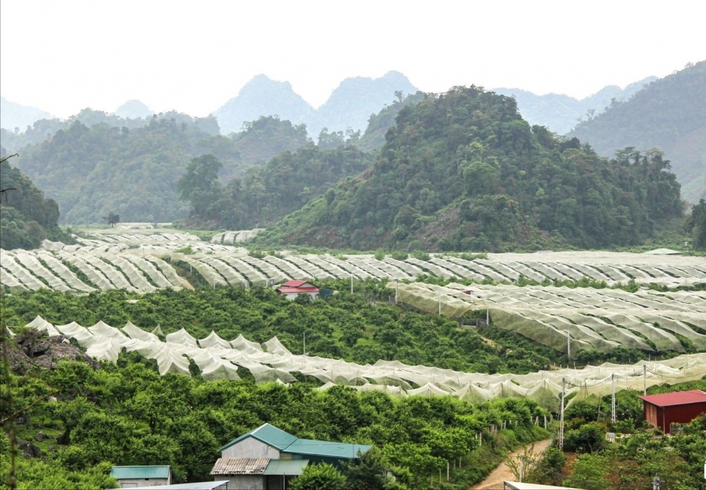 Phát huy sức dân trong xây dựng nông thôn mới tại Sơn La