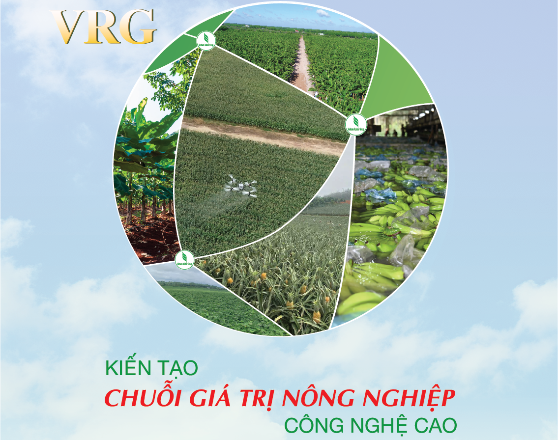Tập đoàn Công nghiệp Cao su Việt Nam hướng tới Đại hội cổ đông 2026: Từ nền tảng tăng trưởng đến khát vọng bứt phá