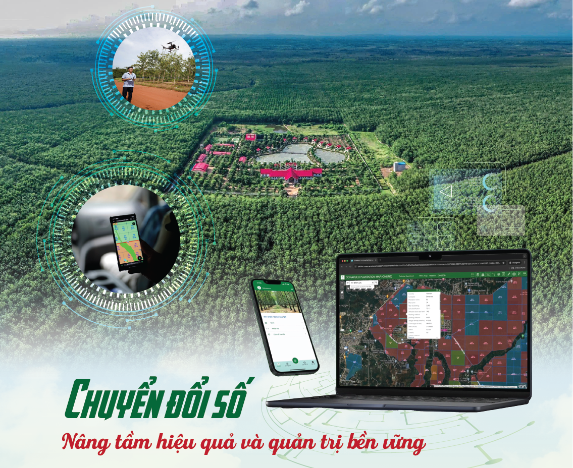Tập đoàn Công nghiệp Cao su Việt Nam hướng tới Đại hội cổ đông 2026: Từ nền tảng tăng trưởng đến khát vọng bứt phá