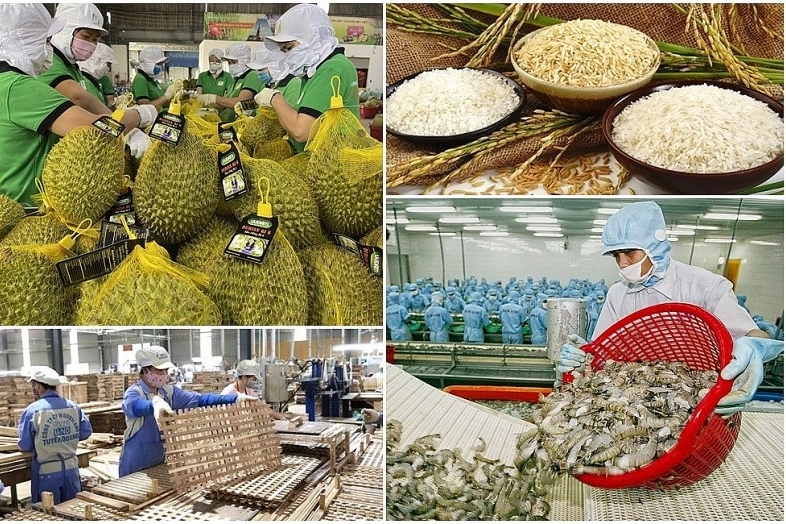 Kim ngạch thương mại Việt Nam - Lào có xu hướng giảm