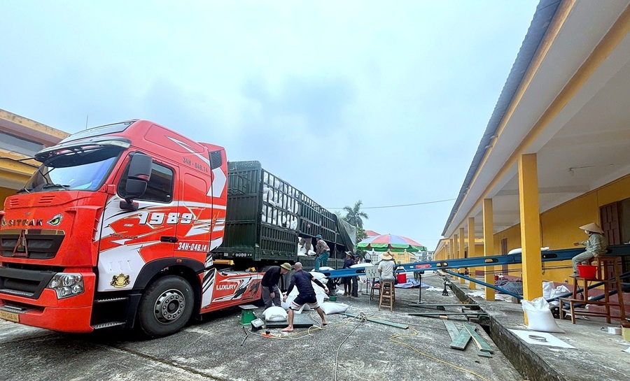 Chi cục Dự trữ Nhà nước khu vực I nhập kho dự trữ hơn 9.280 tấn gạo Chi cục Dự trữ Nhà nước khu vực I nhập kho dự trữ hơn 9.280 tấn gạo