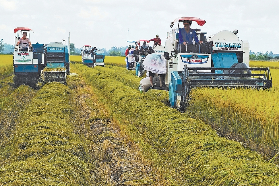 Nông nghiệp phát thải thấp mở đường nâng giá trị nông sản Việt