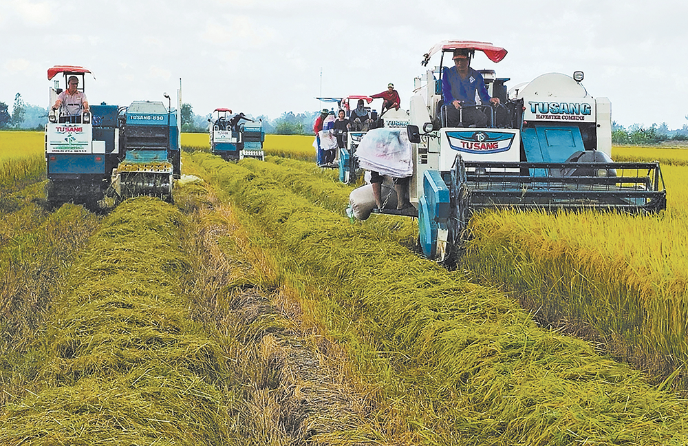 Nông nghiệp phát thải thấp mở đường nâng giá trị nông sản Việt Nông nghiệp phát thải thấp mở đường nâng giá trị nông sản Việt