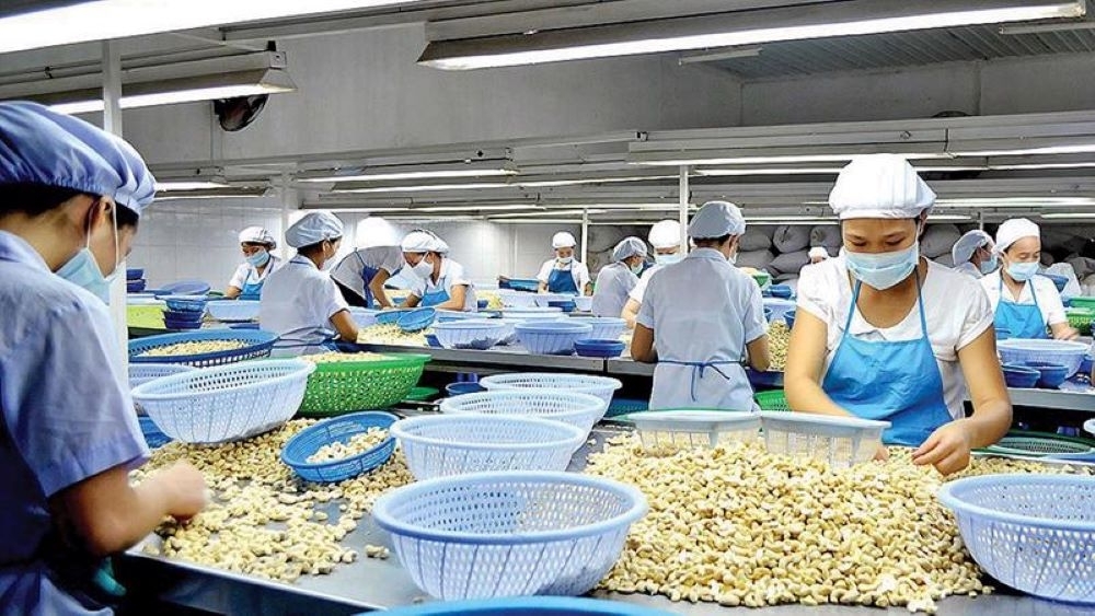 Ngành điều hạ mục tiêu xuất khẩu năm 2026 xuống còn 5 tỷ USD do xung đột địa chính trị tại Trung Đông và diễn biến thị trường không thuận lợi. 