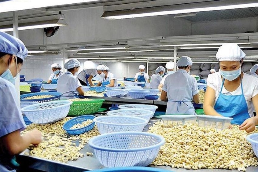 Biến động Trung Đông khiến ngành điều hạ mục tiêu xuất khẩu