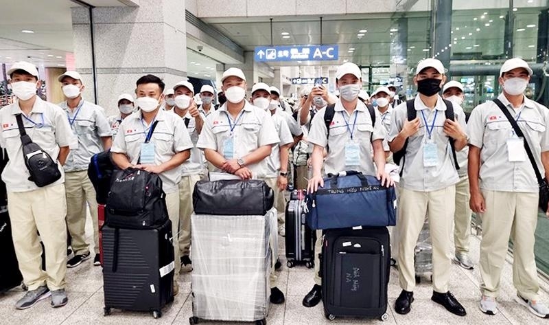 Nửa đầu năm 2026, 66.311 lao động Việt Nam đi làm việc ở nước ngoài