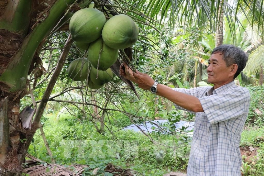 Giai đoạn 2026-2030: Lấy chất lượng sống của người dân làm thước đo nông thôn mới nông thôn