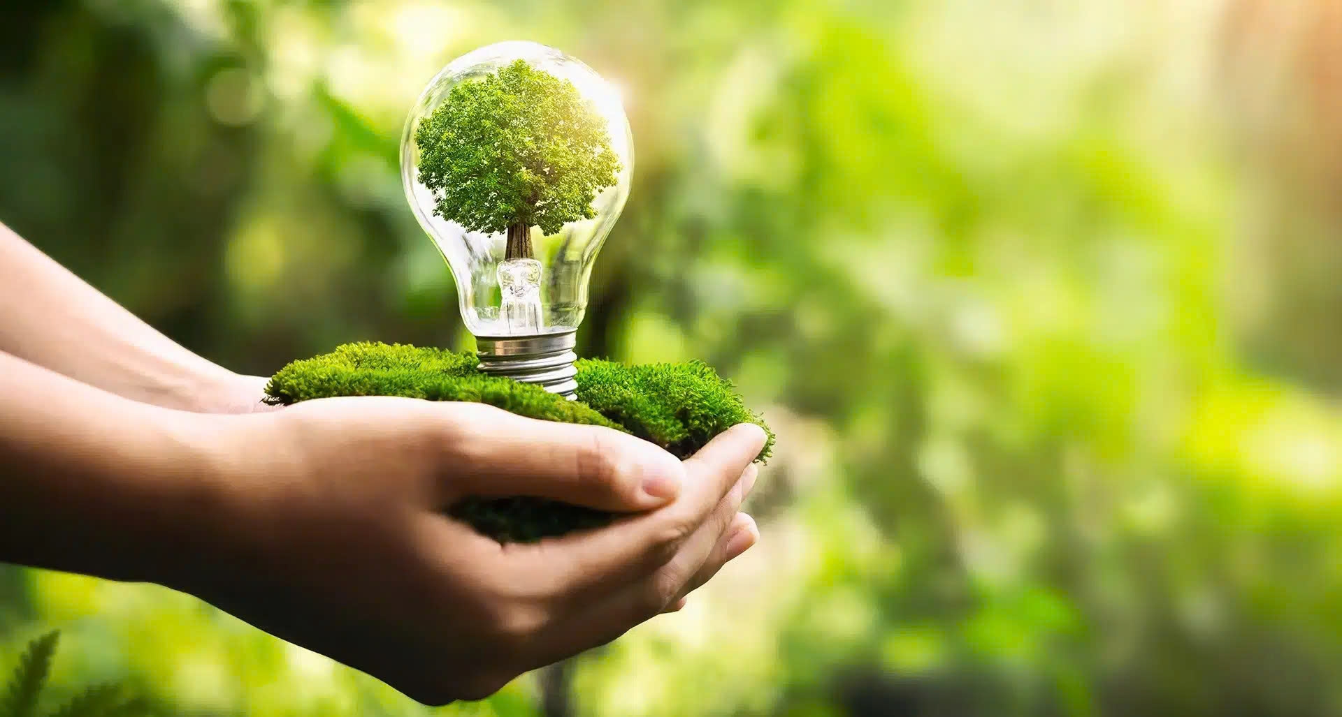 Tiết kiệm điện: Từ giải pháp ứng phó thành chiến lược bảo đảm an ninh năng lượng Tiết kiệm điện: Từ giải pháp ứng phó thành chiến lược bảo đảm an ninh năng lượng