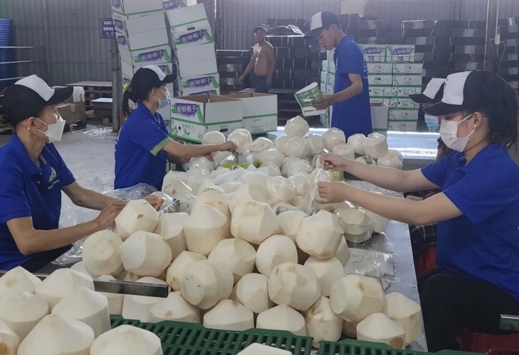 Vĩnh Long: Tập trung hỗ trợ doanh nghiệp, mở rộng thị trường xuất khẩu