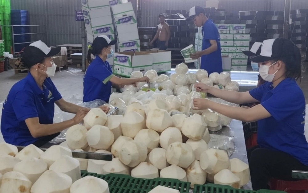 Vĩnh Long: Tập trung hỗ trợ doanh nghiệp, mở rộng thị trường xuất khẩu