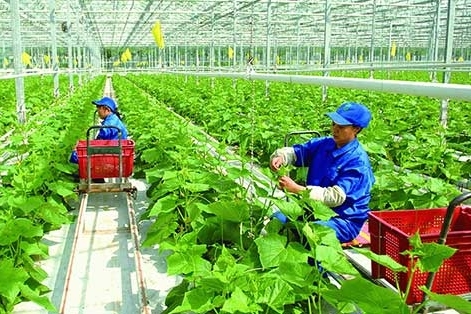 Phân bổ vốn đầu tư công trung hạn gắn với mục tiêu tăng trưởng kinh tế 2 con số