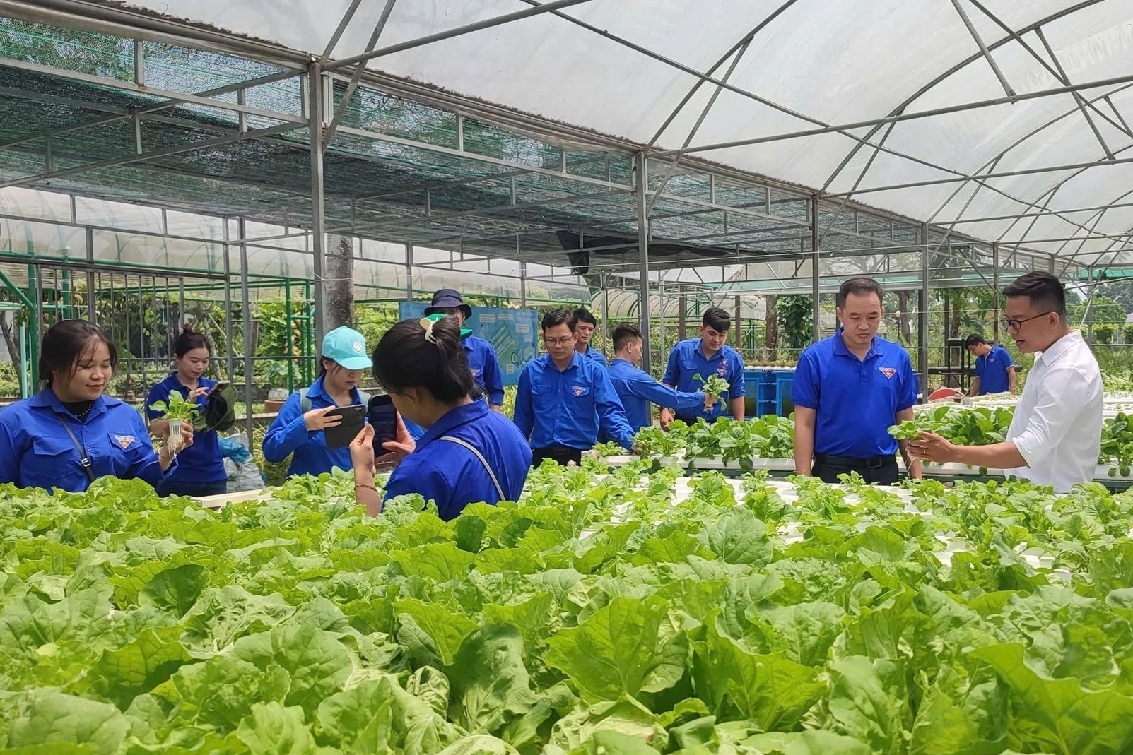 TP. Hồ Chí Minh thành lập 7 khu nông nghiệp ứng dụng công nghệ cao