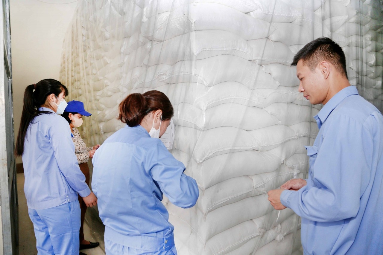 Xuất cấp hơn 96 tấn gạo hỗ trợ người dân tỉnh Thanh Hóa bảo vệ, phát triển rừng Xuất cấp hơn 96 tấn gạo hỗ trợ người dân tỉnh Thanh Hóa bảo vệ, phát triển rừng